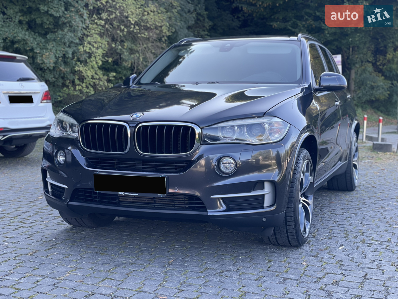 2013 BMW X5 - мініатюра 19
