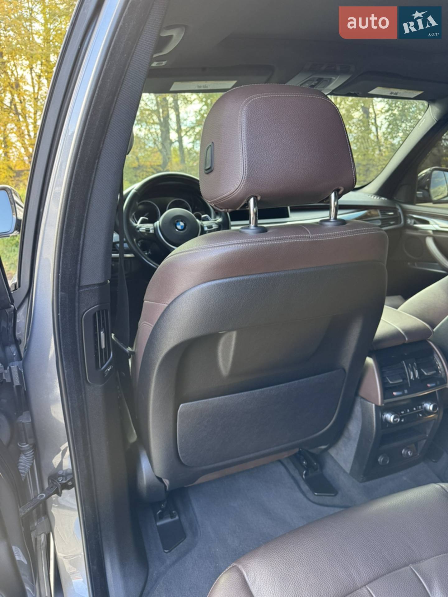2015 BMW X5 - мініатюра 38