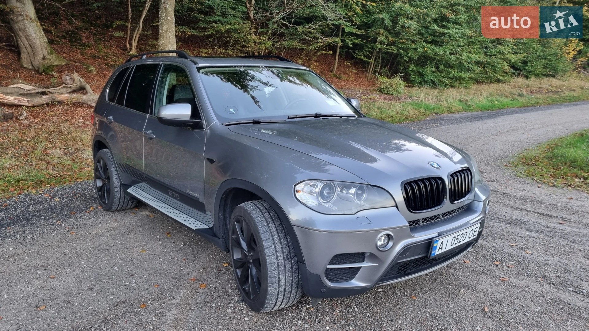 2013 BMW X5 - фото 1