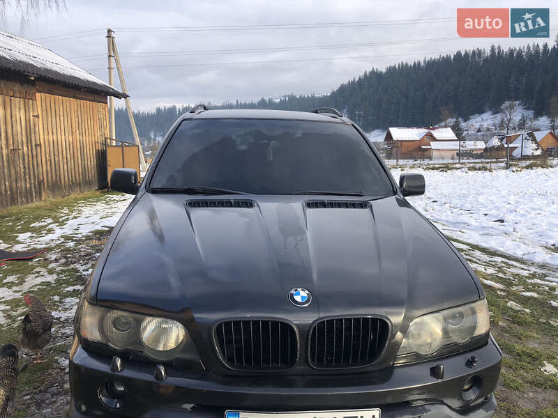 Внедорожник / Кроссовер BMW X5 2002 в Верховине фото 9 Внедорожник / Кроссовер BMW X5 2002 в Верховине