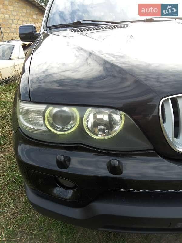Внедорожник / Кроссовер BMW X5 2005 в Ковеле