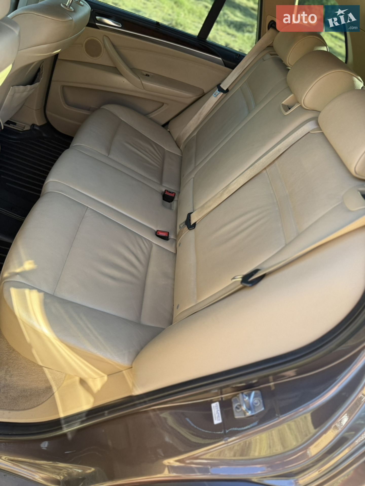 2010 BMW X5 - мініатюра 14
