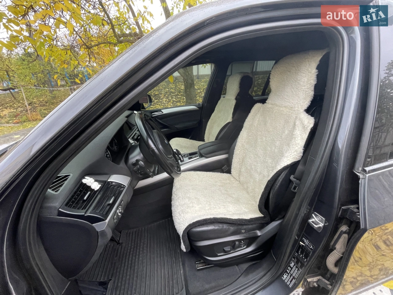2010 BMW X5 - мініатюра 10