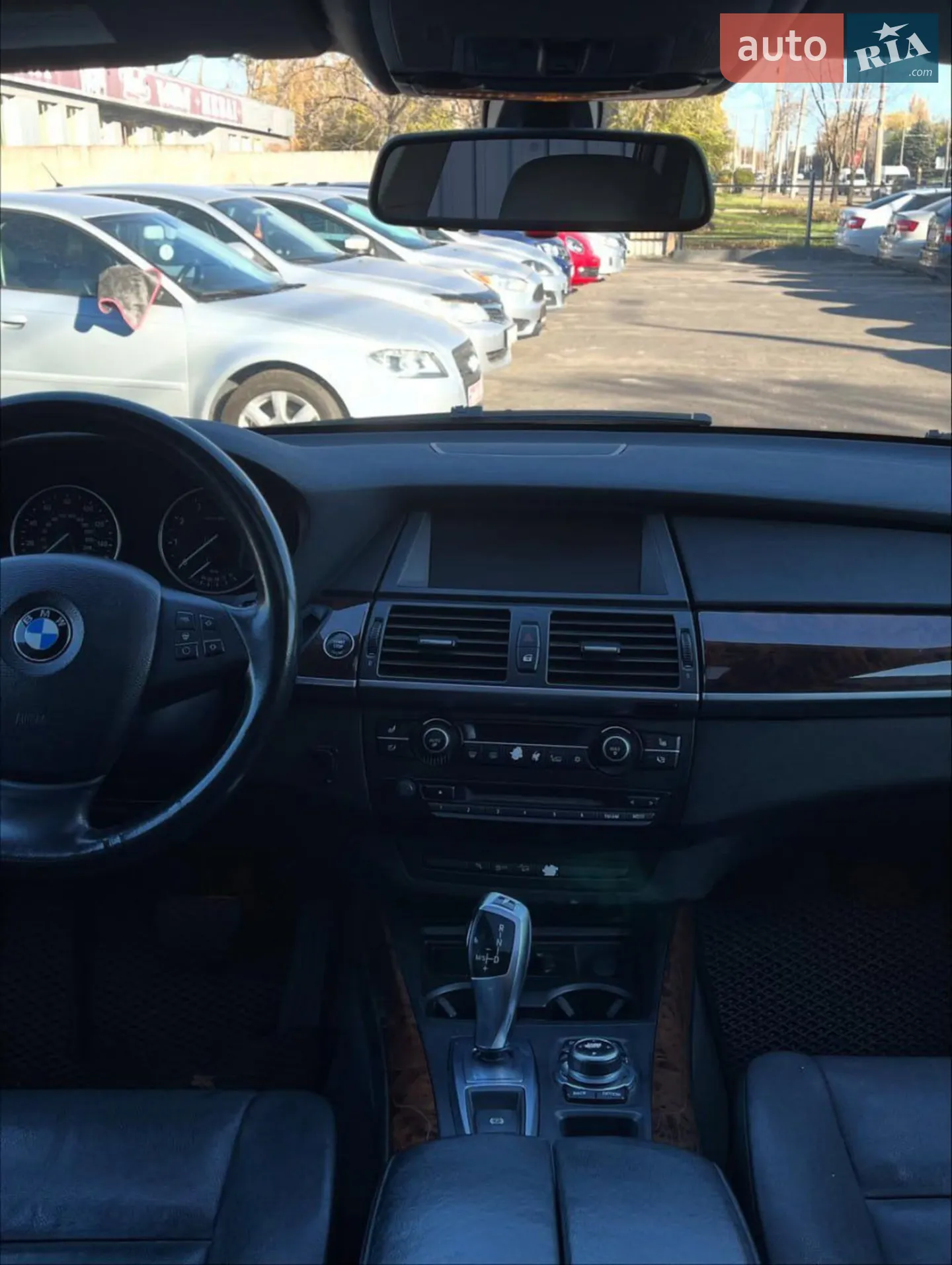 2010 BMW X5 - мініатюра 7