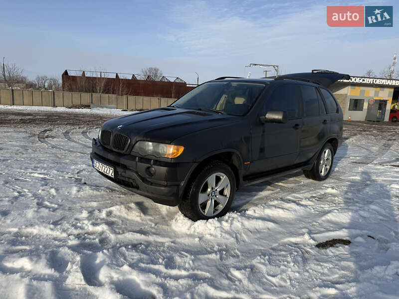 Внедорожник / Кроссовер BMW X5 2001 в Вольнянске