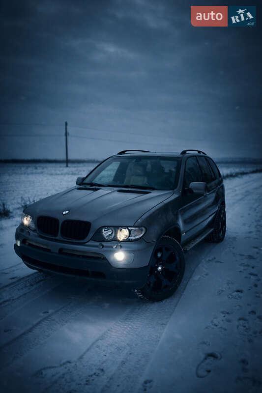 Позашляховик / Кросовер BMW X5 2004 в Кривому Розі