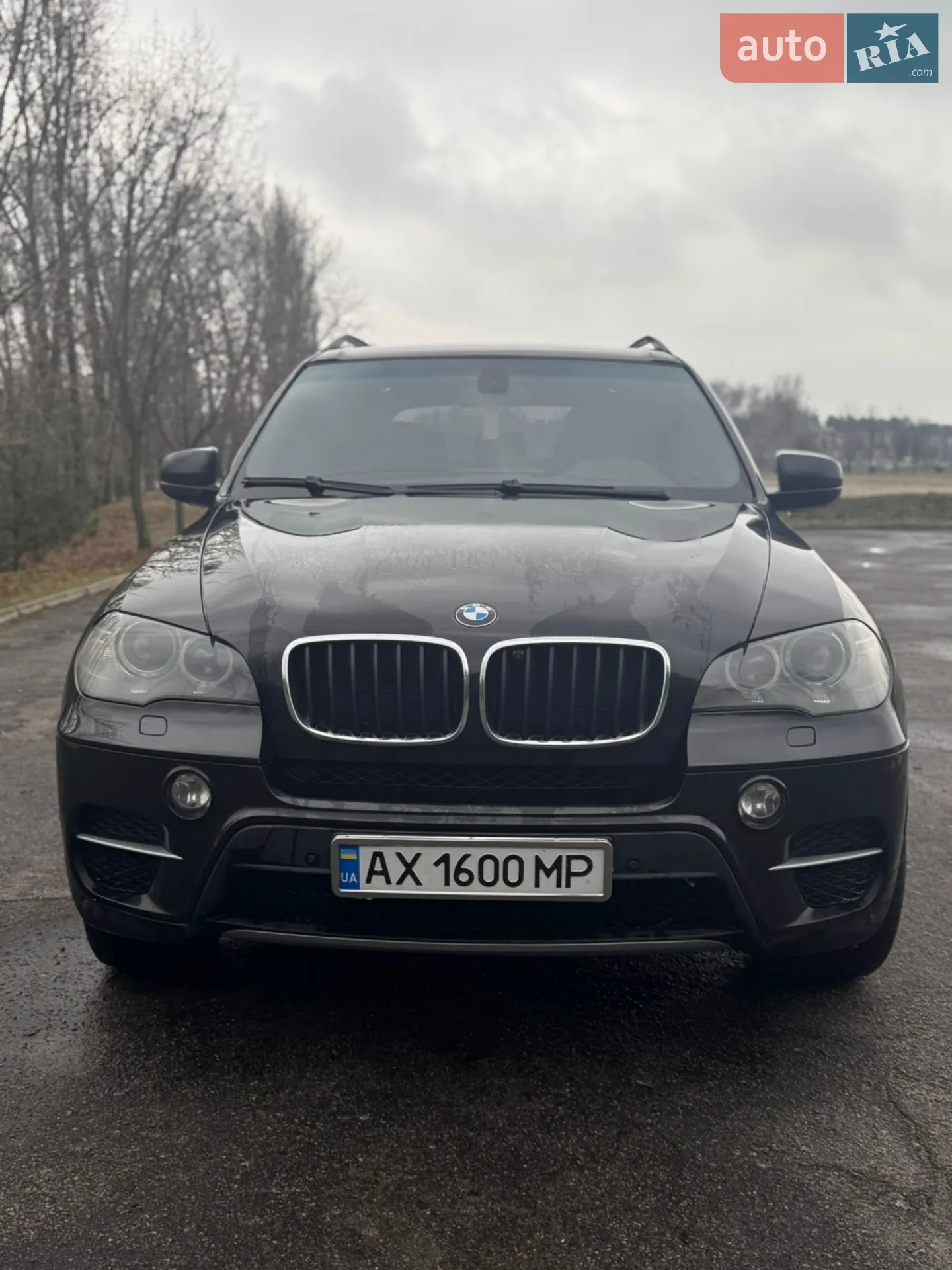2010 BMW X5 - мініатюра 2
