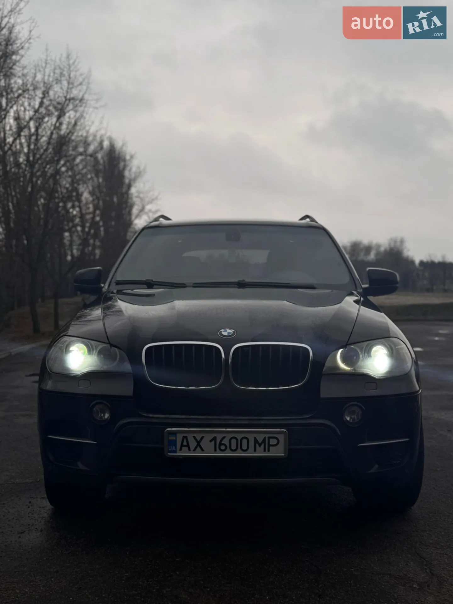 2010 BMW X5 - мініатюра 5