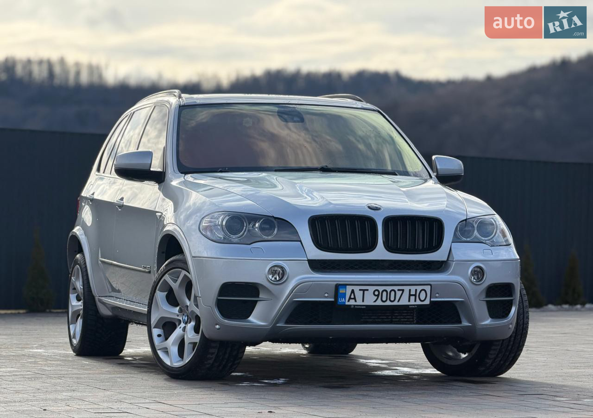 2010 BMW X5 - мініатюра 2