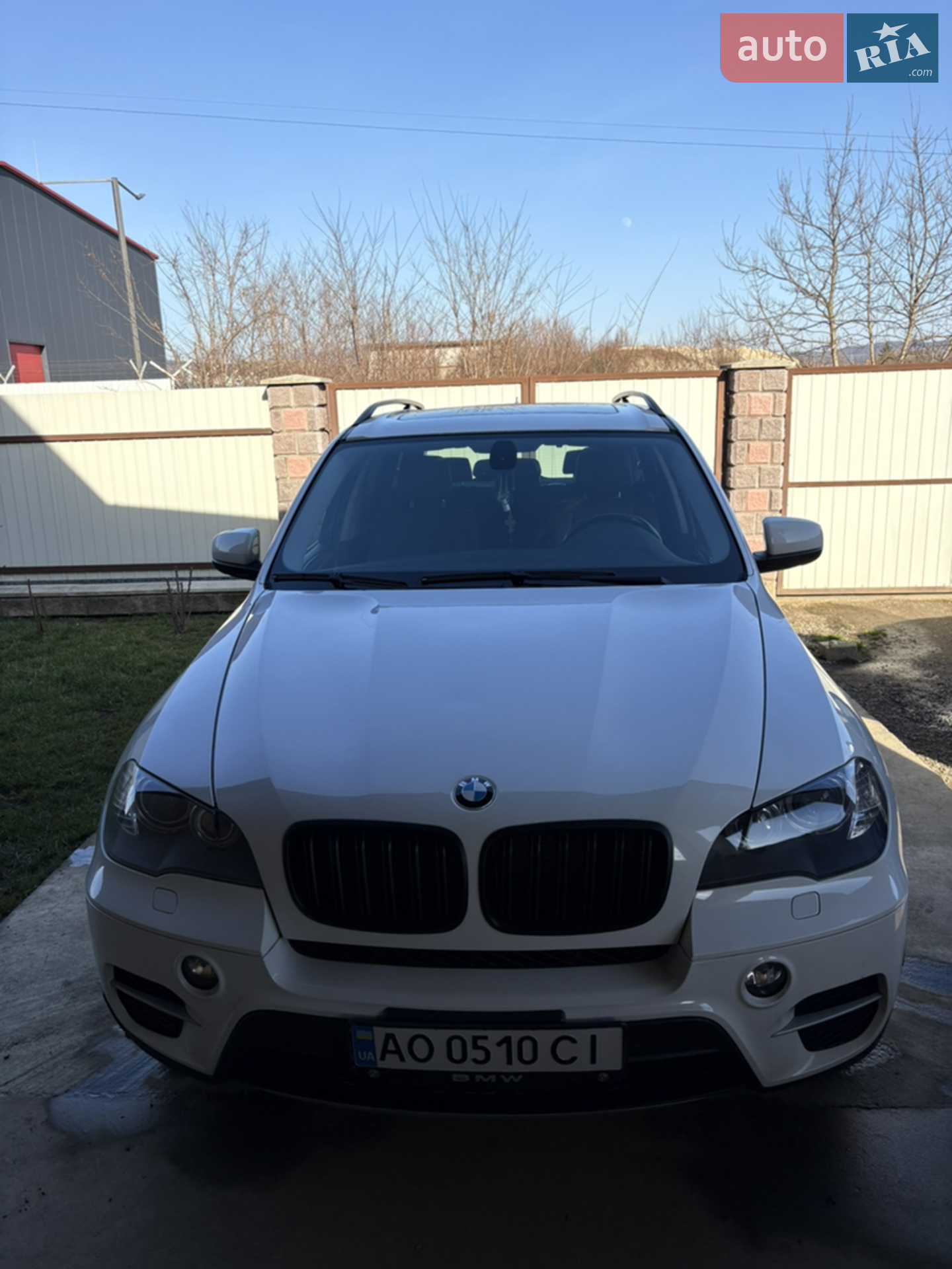 2010 BMW X5 - мініатюра 2
