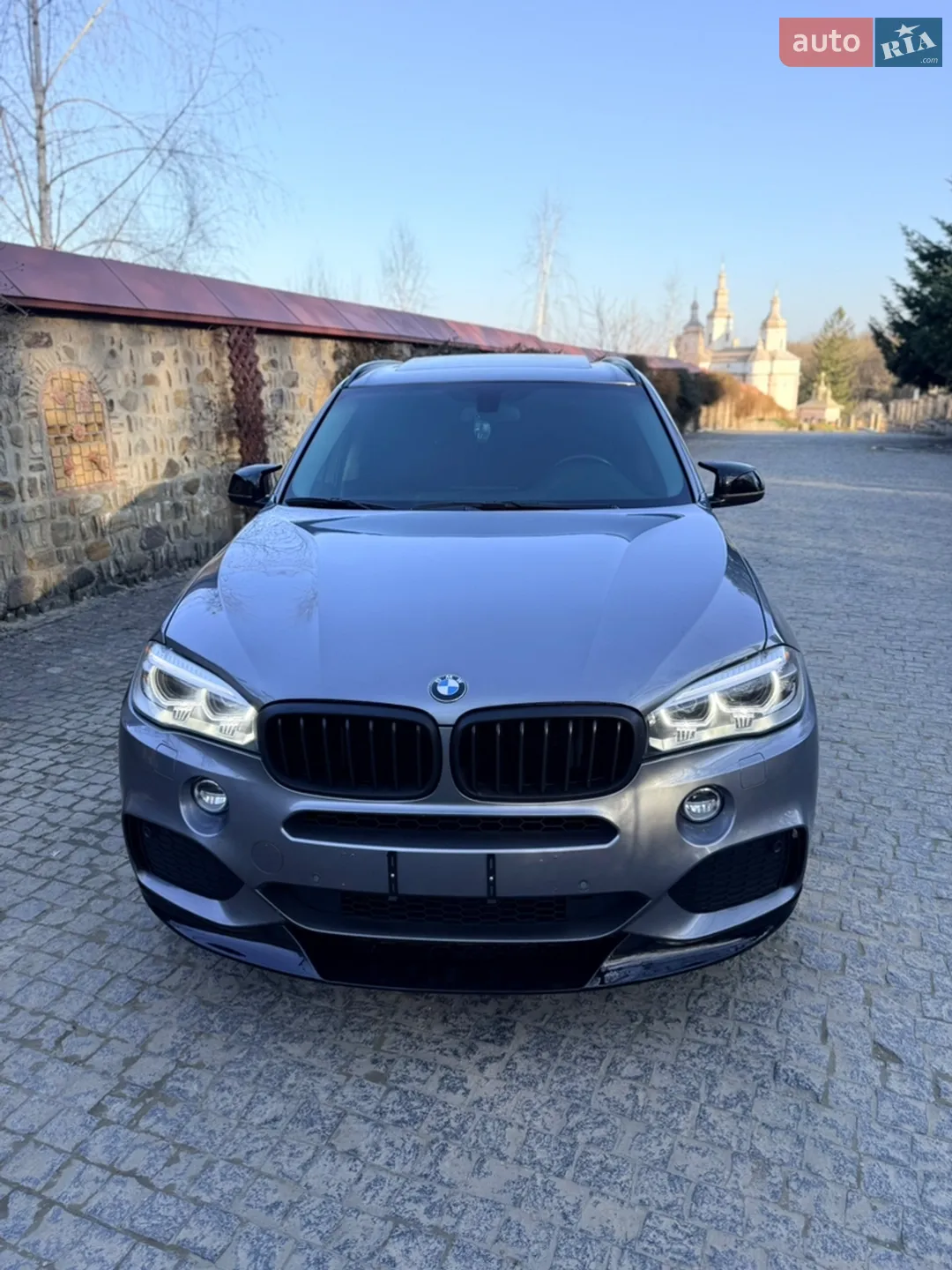 2014 BMW X5 - мініатюра 8