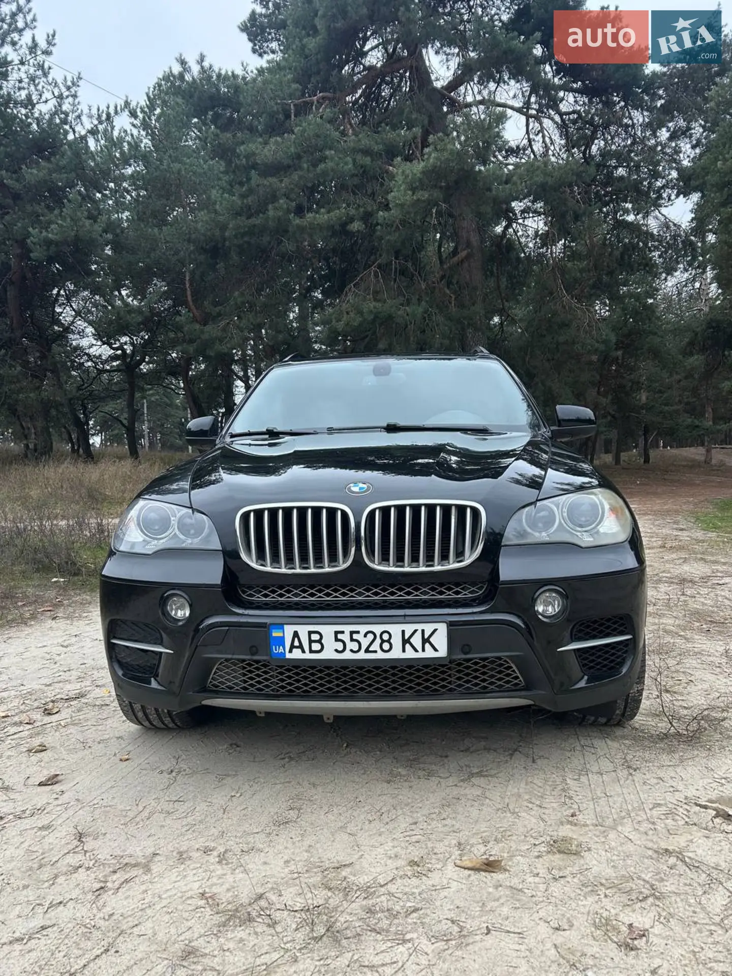 2013 BMW X5 - мініатюра 2