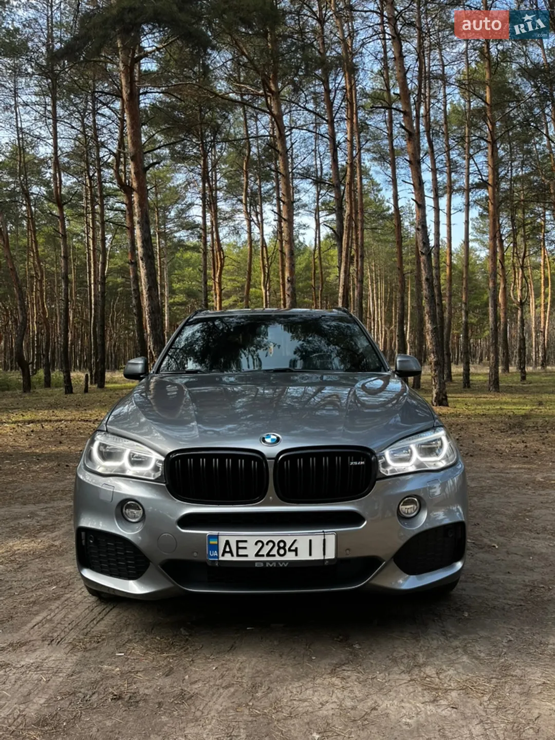 2017 BMW X5 - мініатюра 3