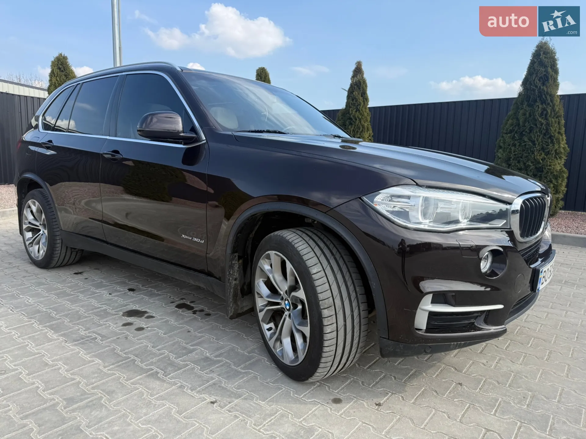 2013 BMW X5 - мініатюра 6