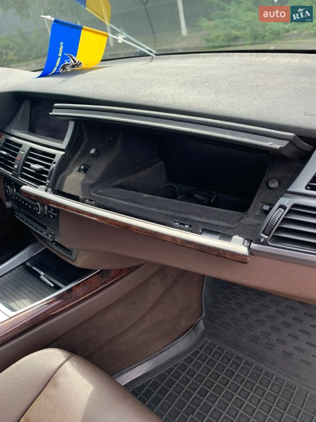 2011 BMW X5 - мініатюра 11