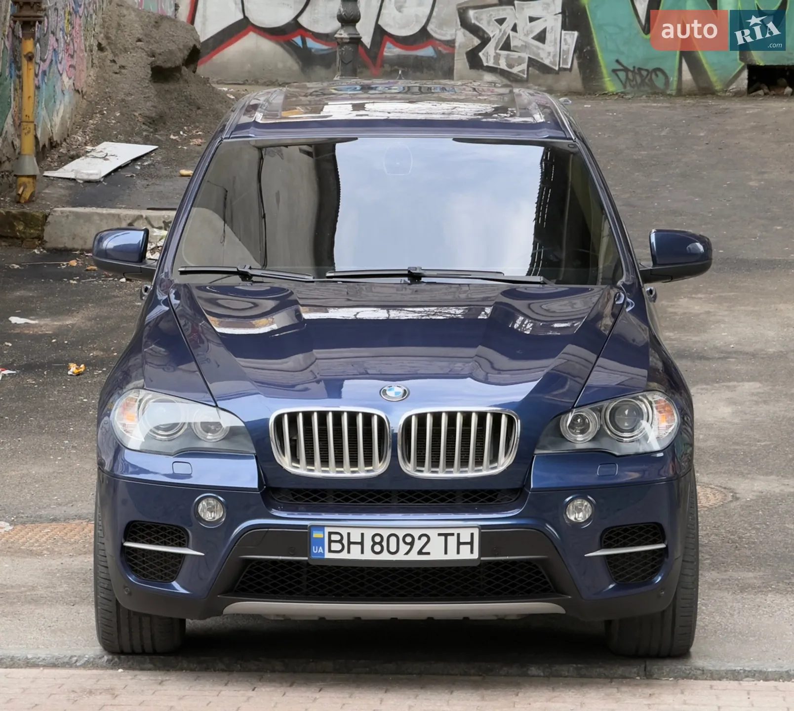 2010 BMW X5 - мініатюра 3