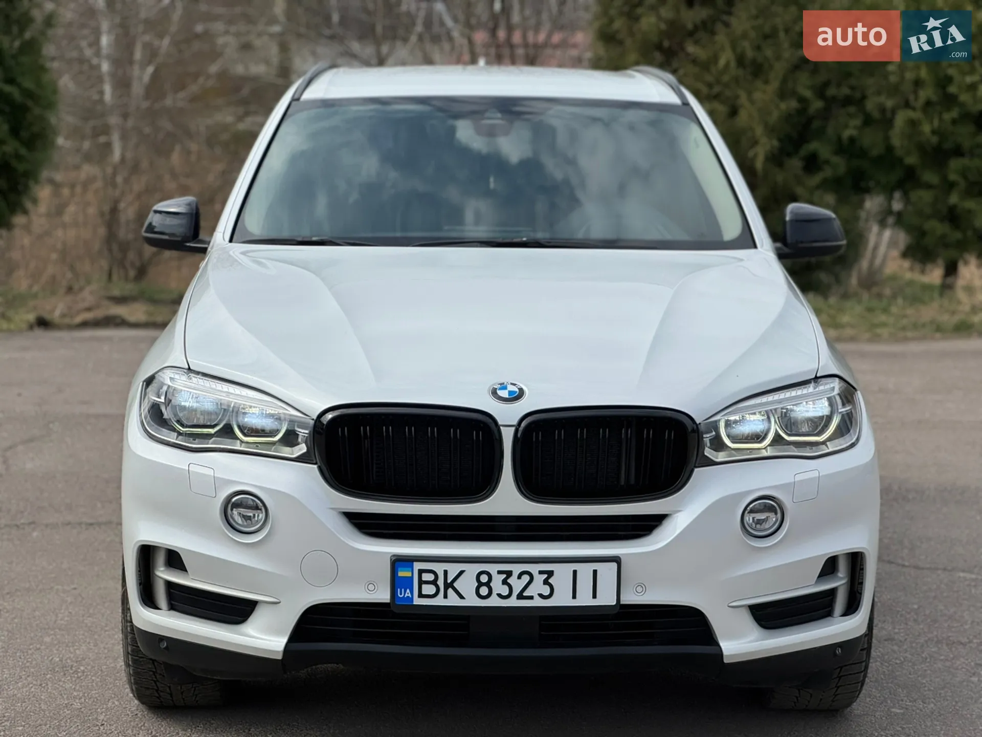 2013 BMW X5 - мініатюра 4