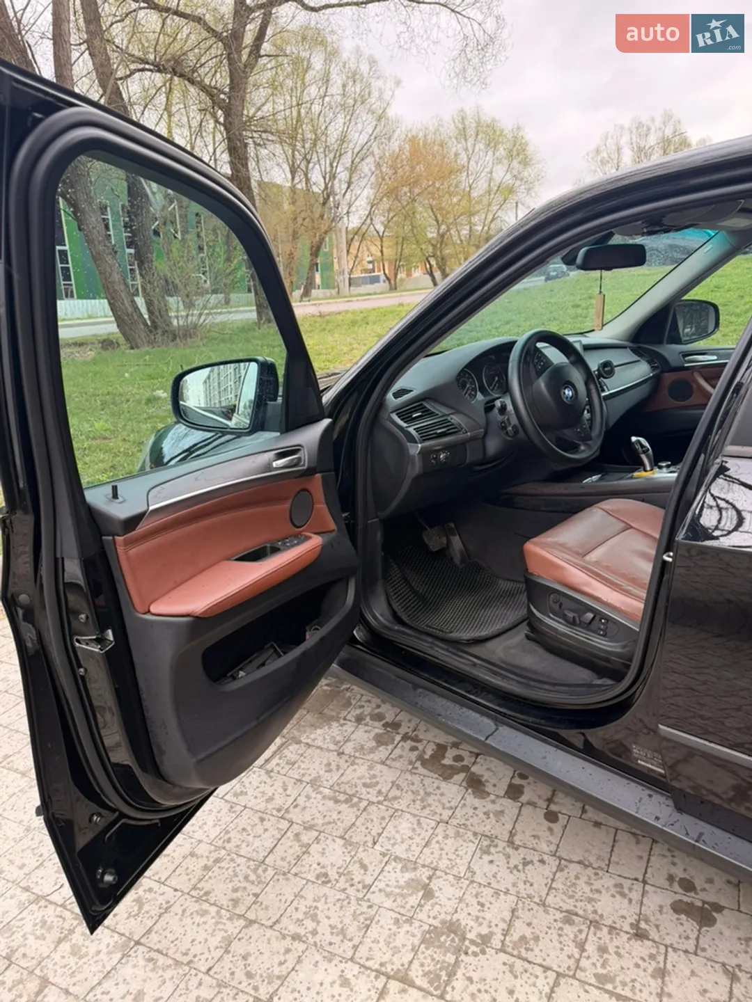 2010 BMW X5 - мініатюра 10