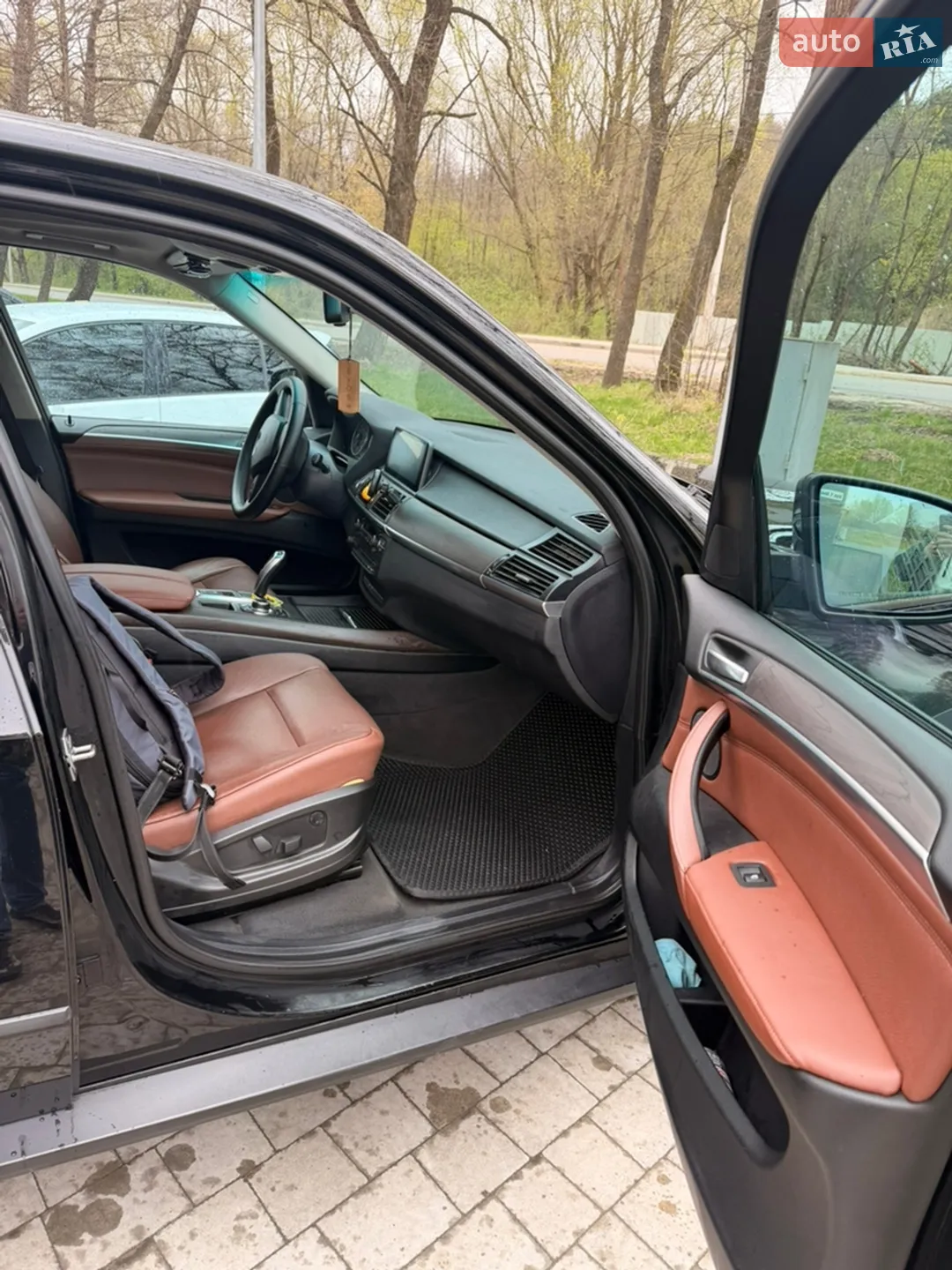 2010 BMW X5 - мініатюра 15