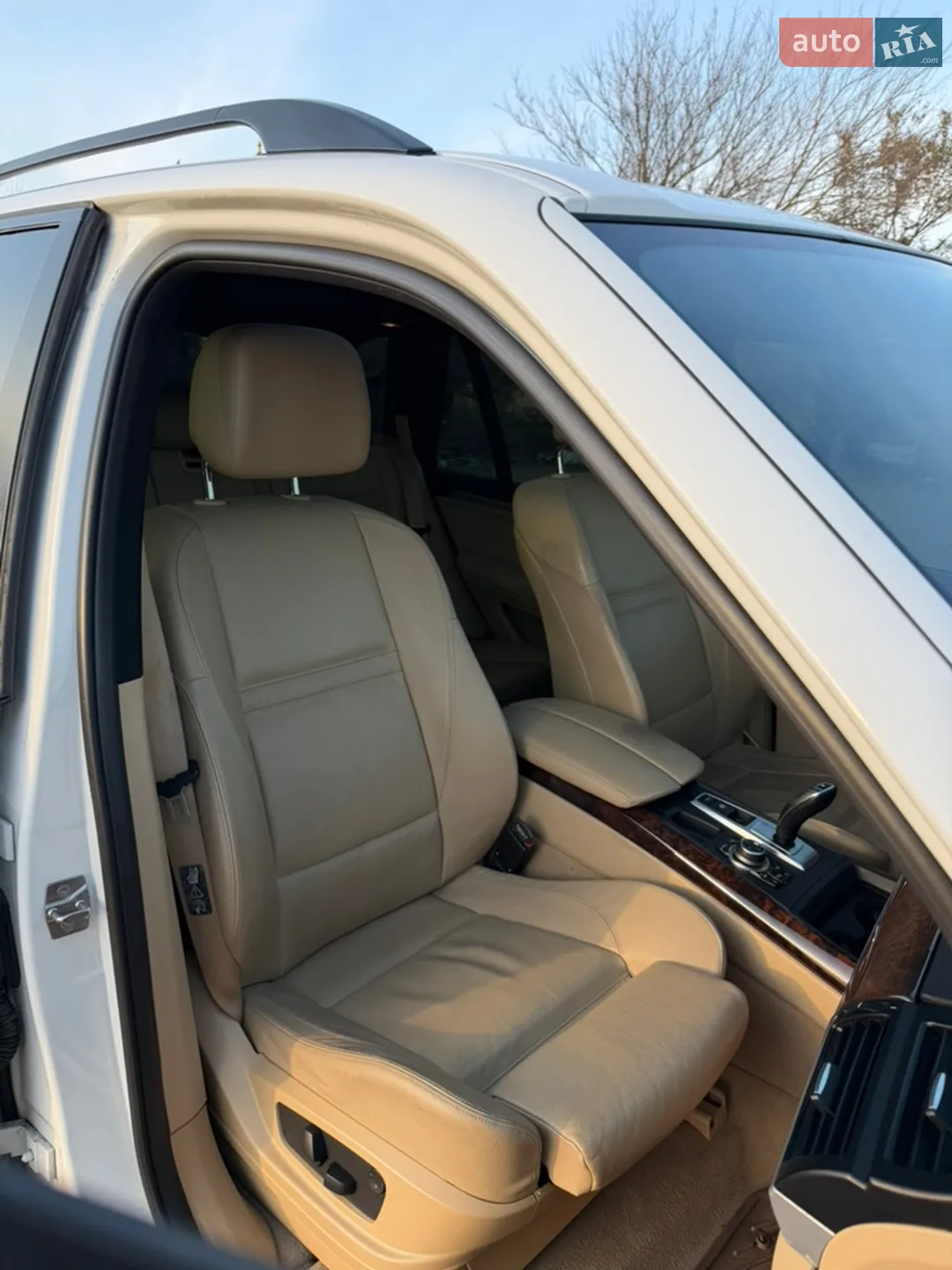 2010 BMW X5 - мініатюра 15