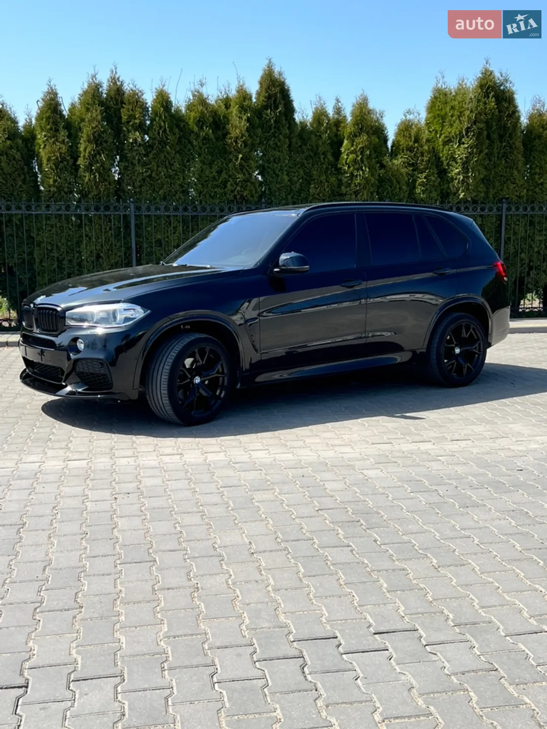 2014 BMW X5 - мініатюра 4