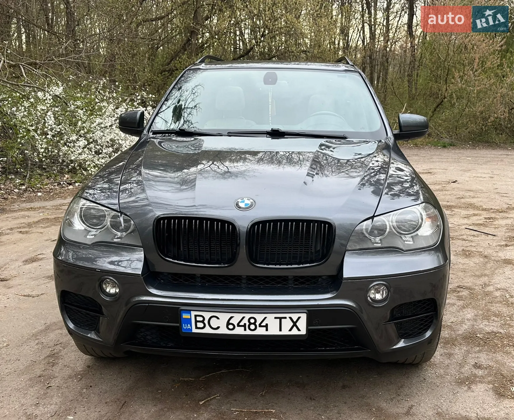 2011 BMW X5 - мініатюра 3