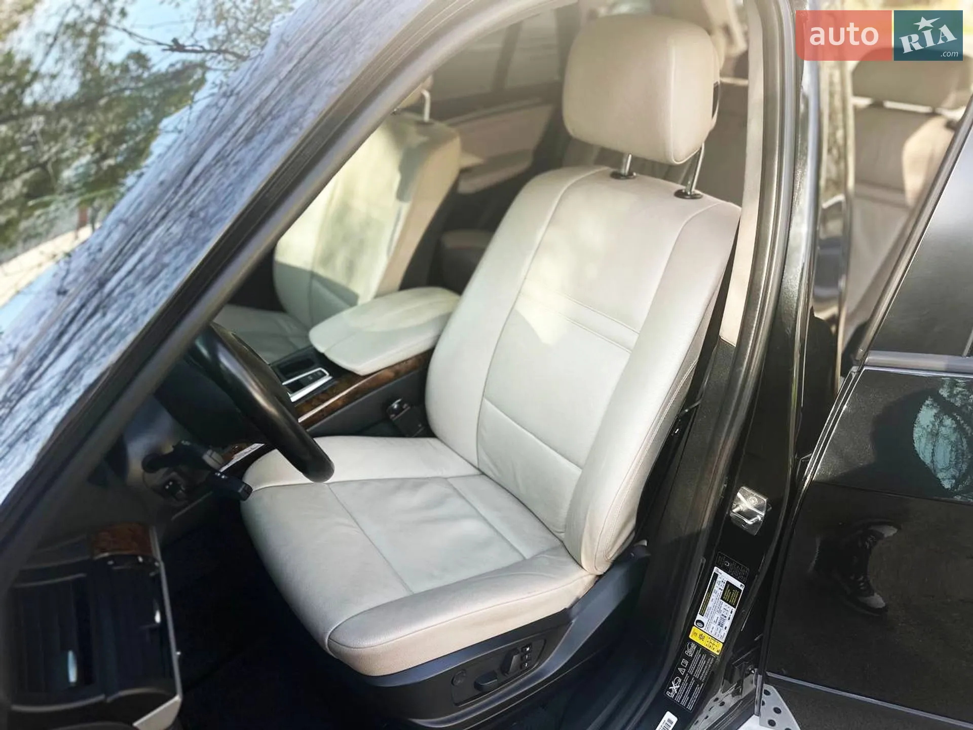 2010 BMW X5 - мініатюра 21
