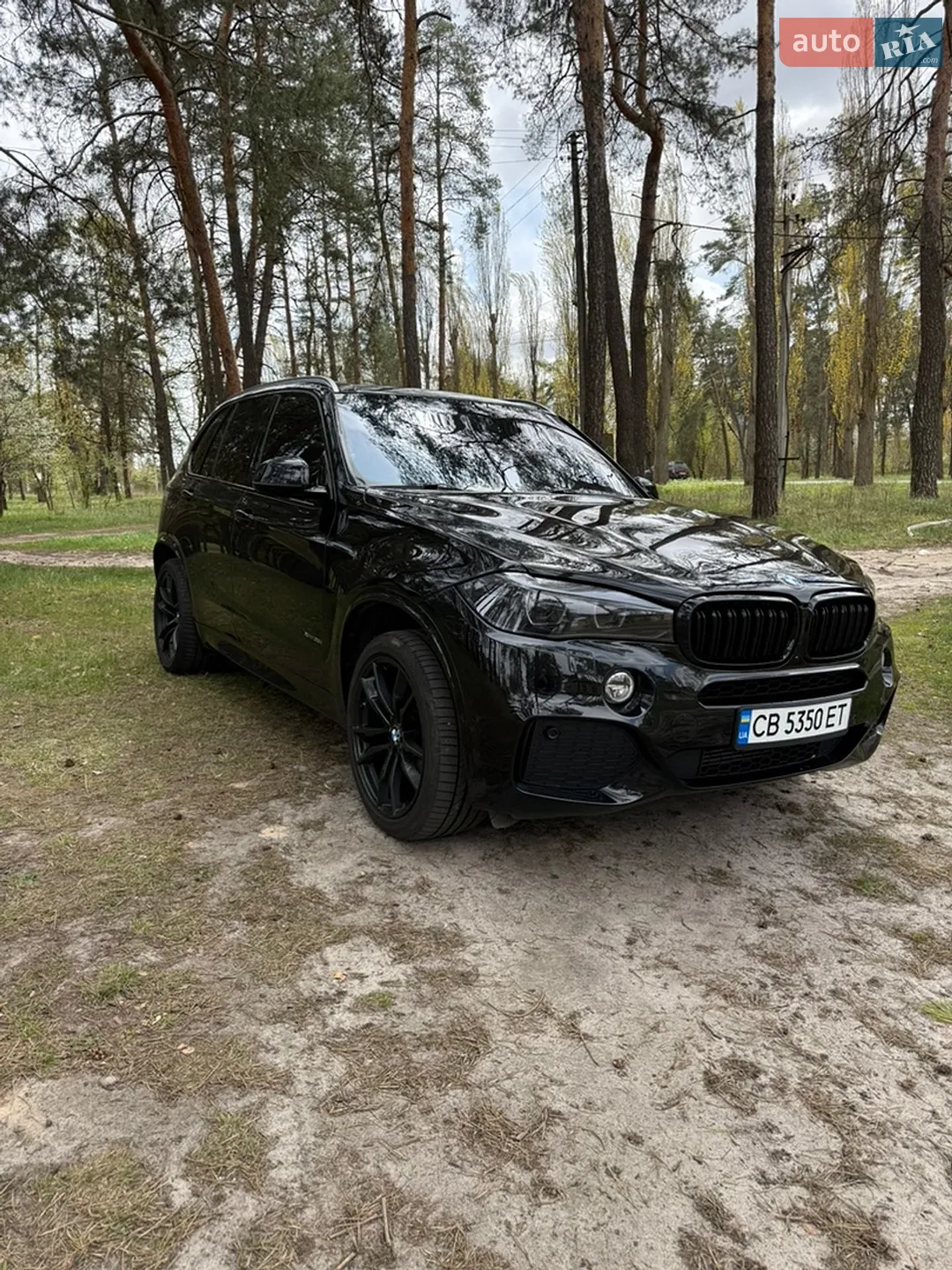 2015 BMW X5 - мініатюра 2