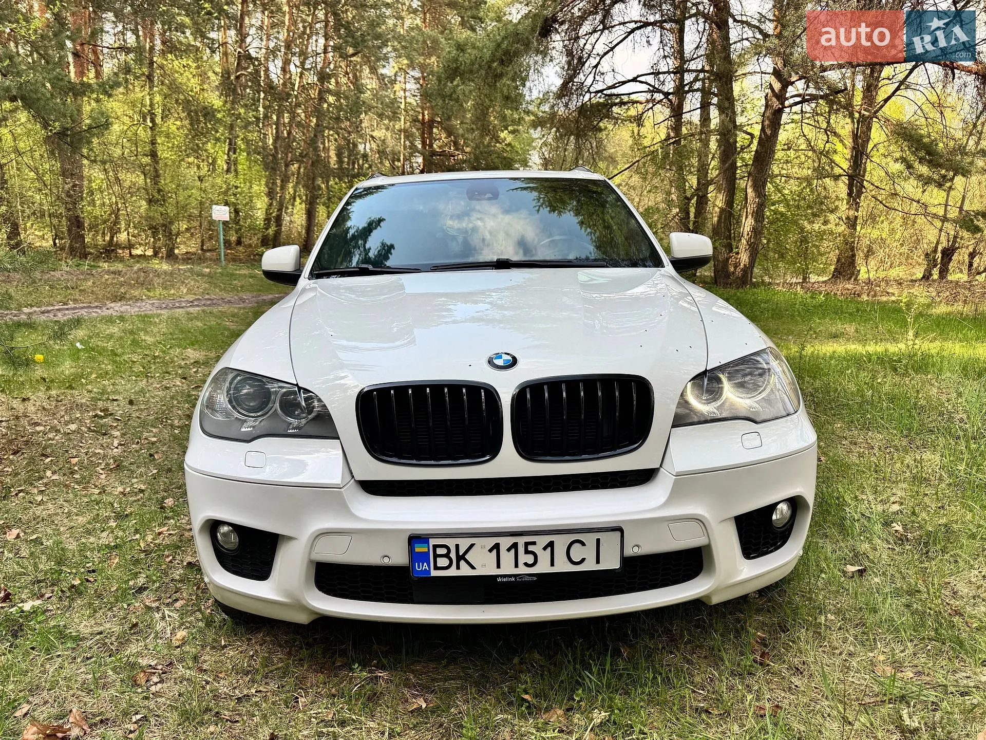 2011 BMW X5 - мініатюра 19