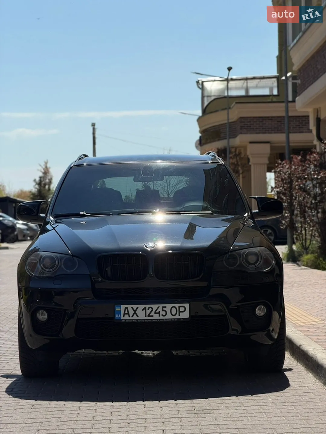 2010 BMW X5 - мініатюра 3