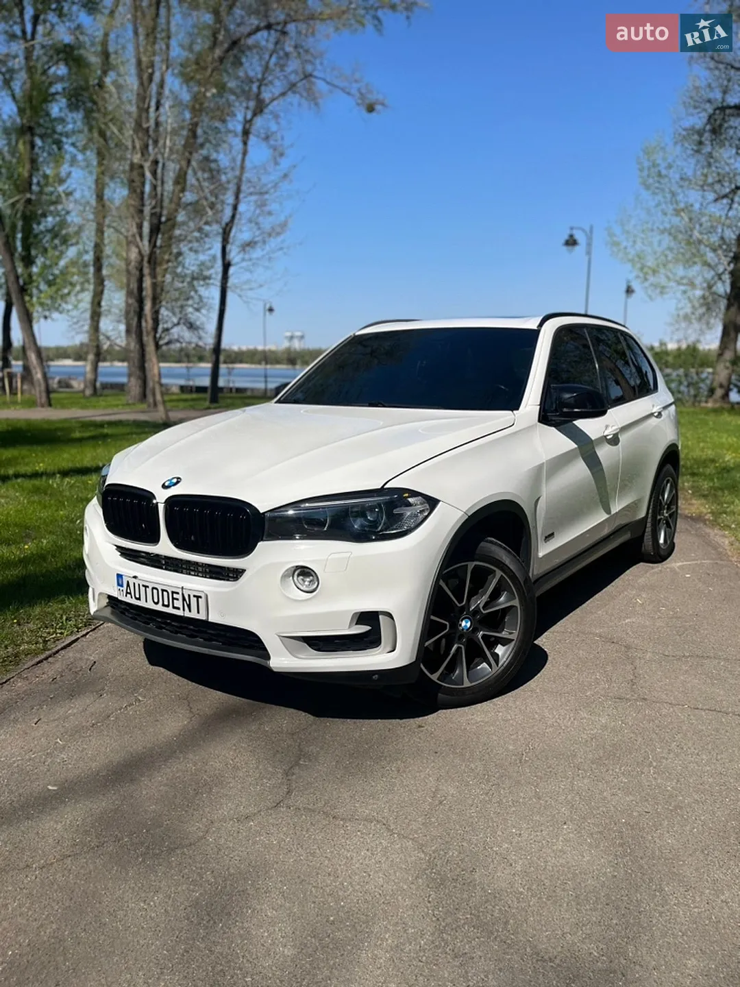 2016 BMW X5 - мініатюра 3