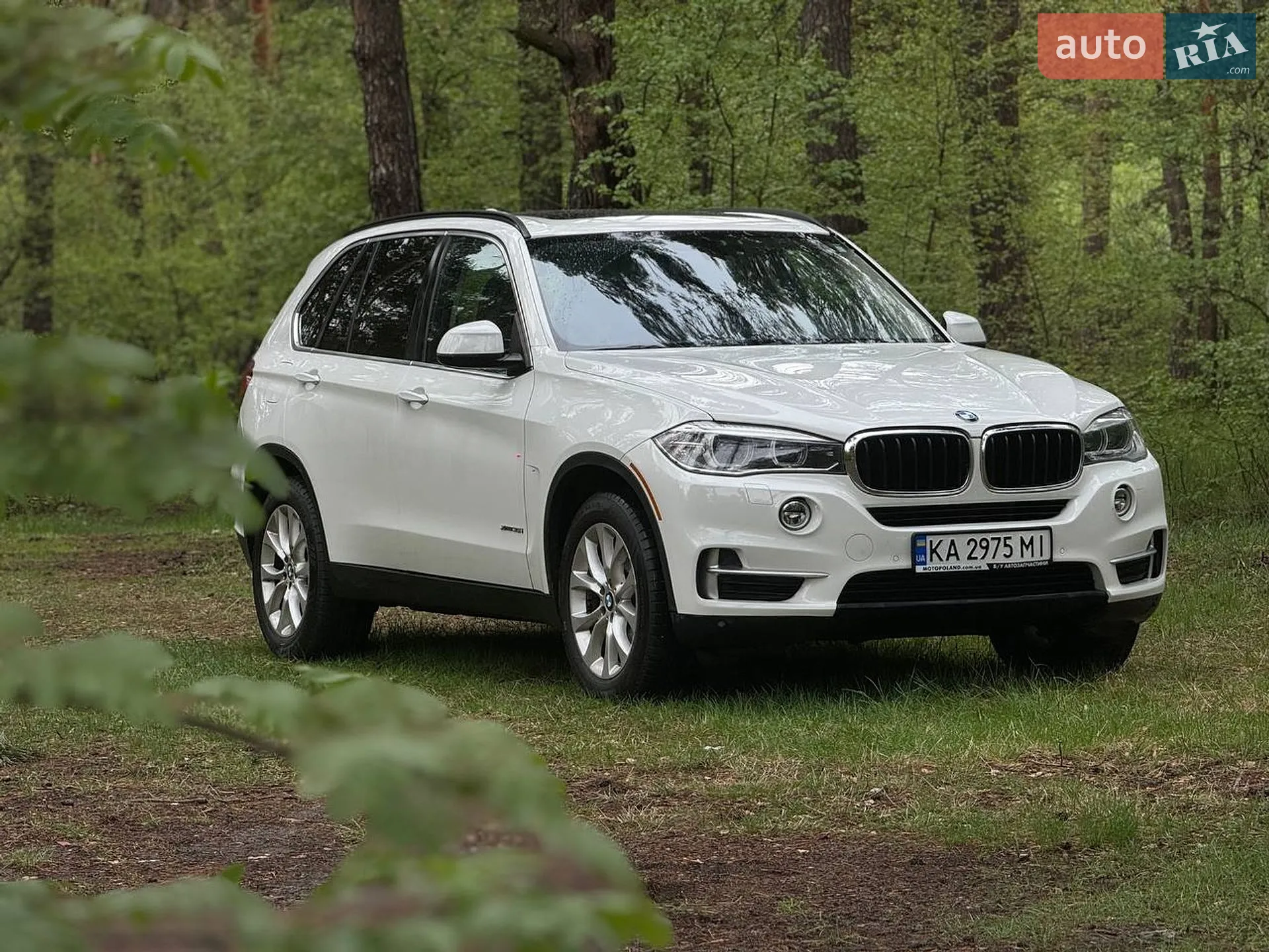 2015 BMW X5 - фото 1