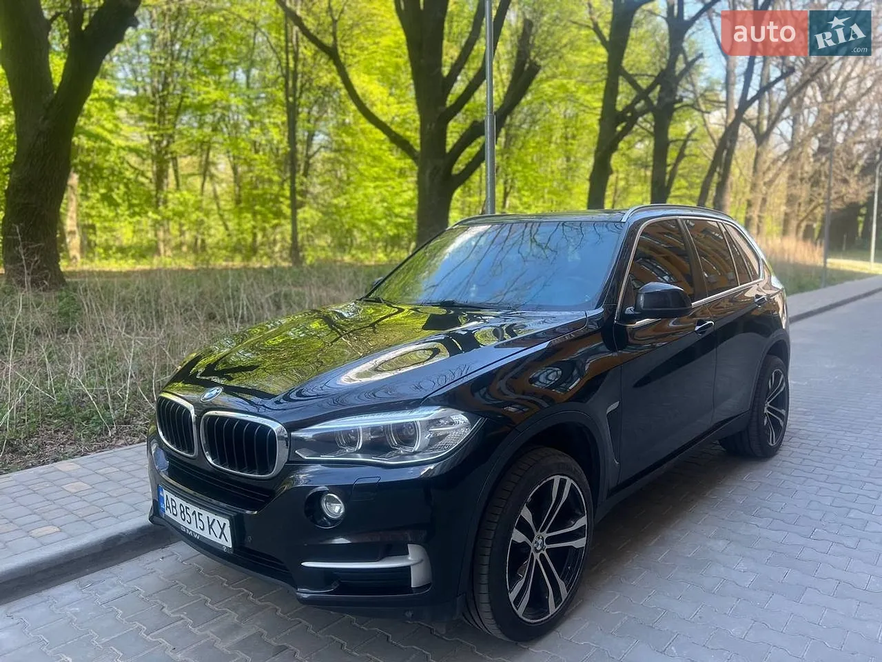 2013 BMW X5 - мініатюра 29