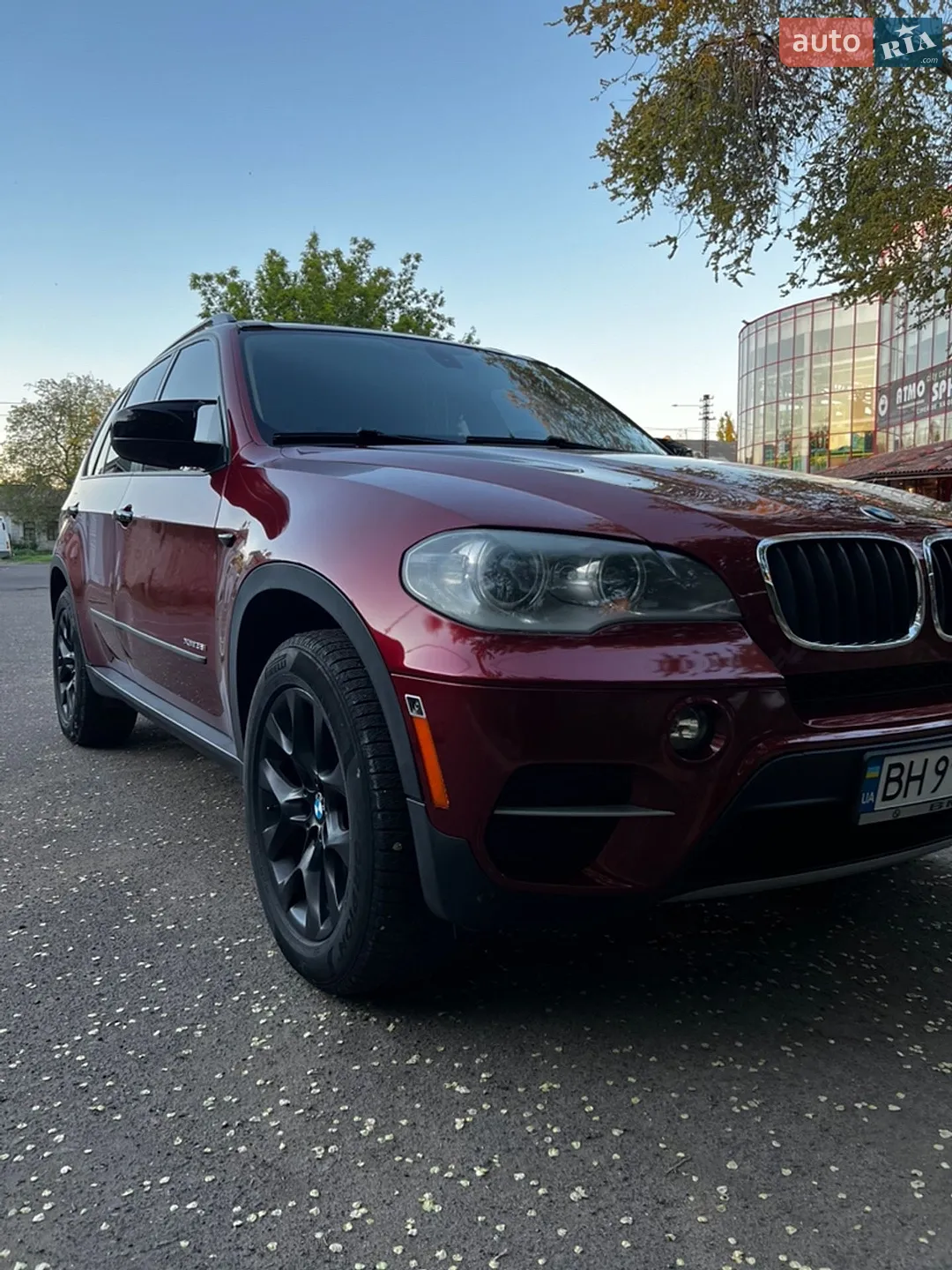 2011 BMW X5 - мініатюра 2