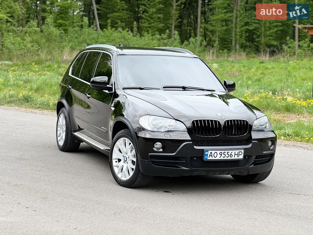 2010 BMW X5 - мініатюра 19