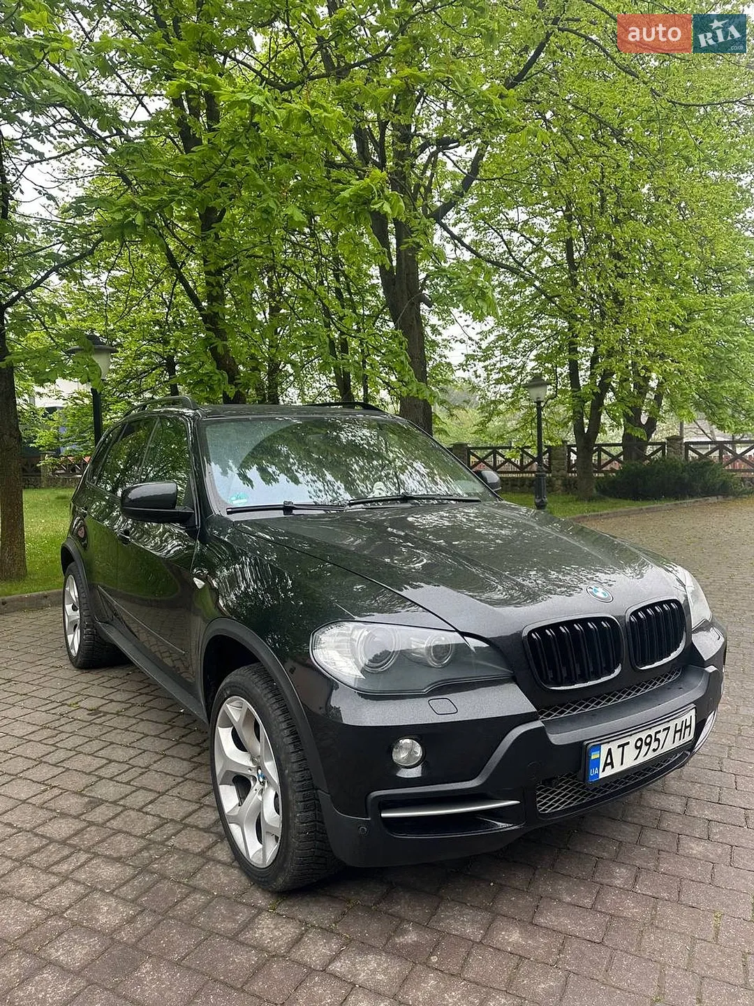 2010 BMW X5 - мініатюра 12