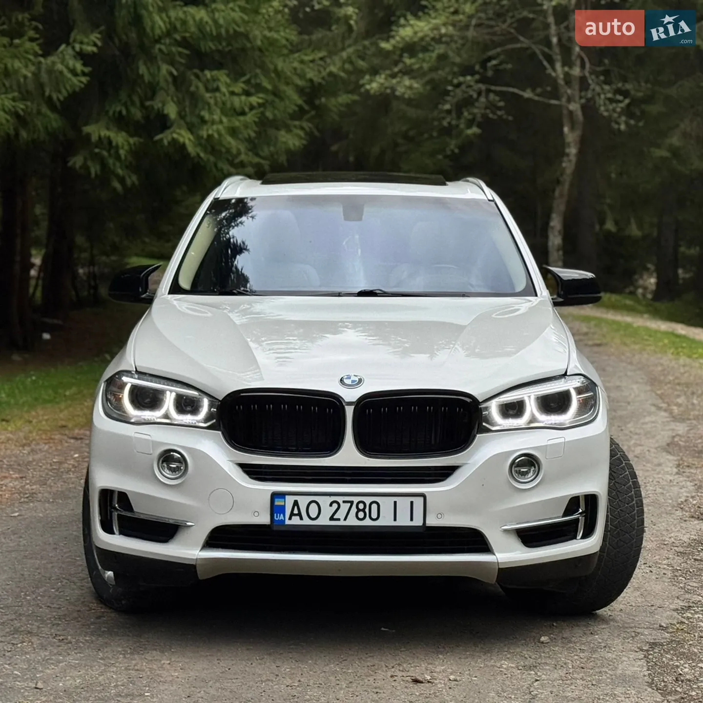 2014 BMW X5 - мініатюра 2