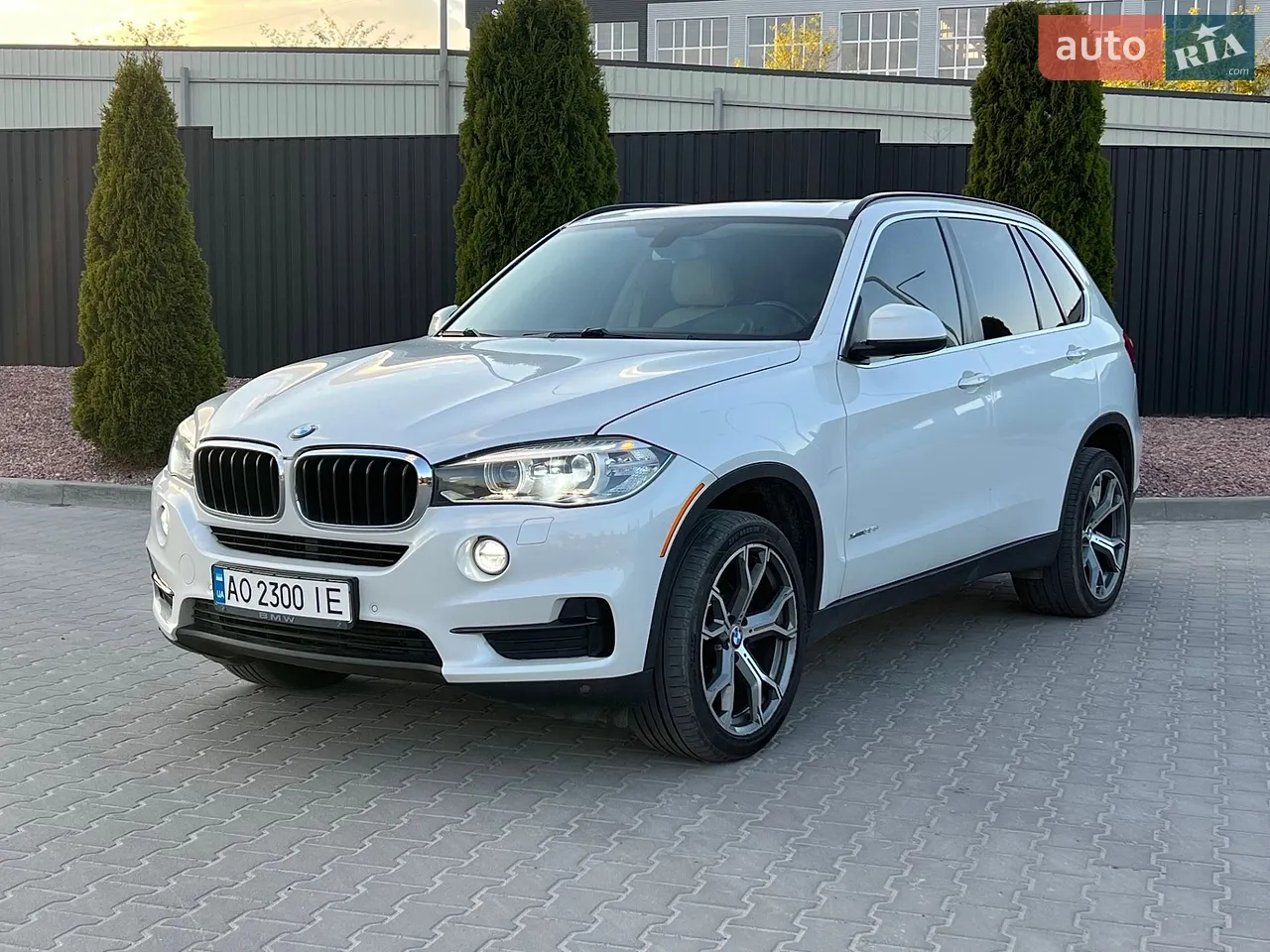 2013 BMW X5 - мініатюра 20