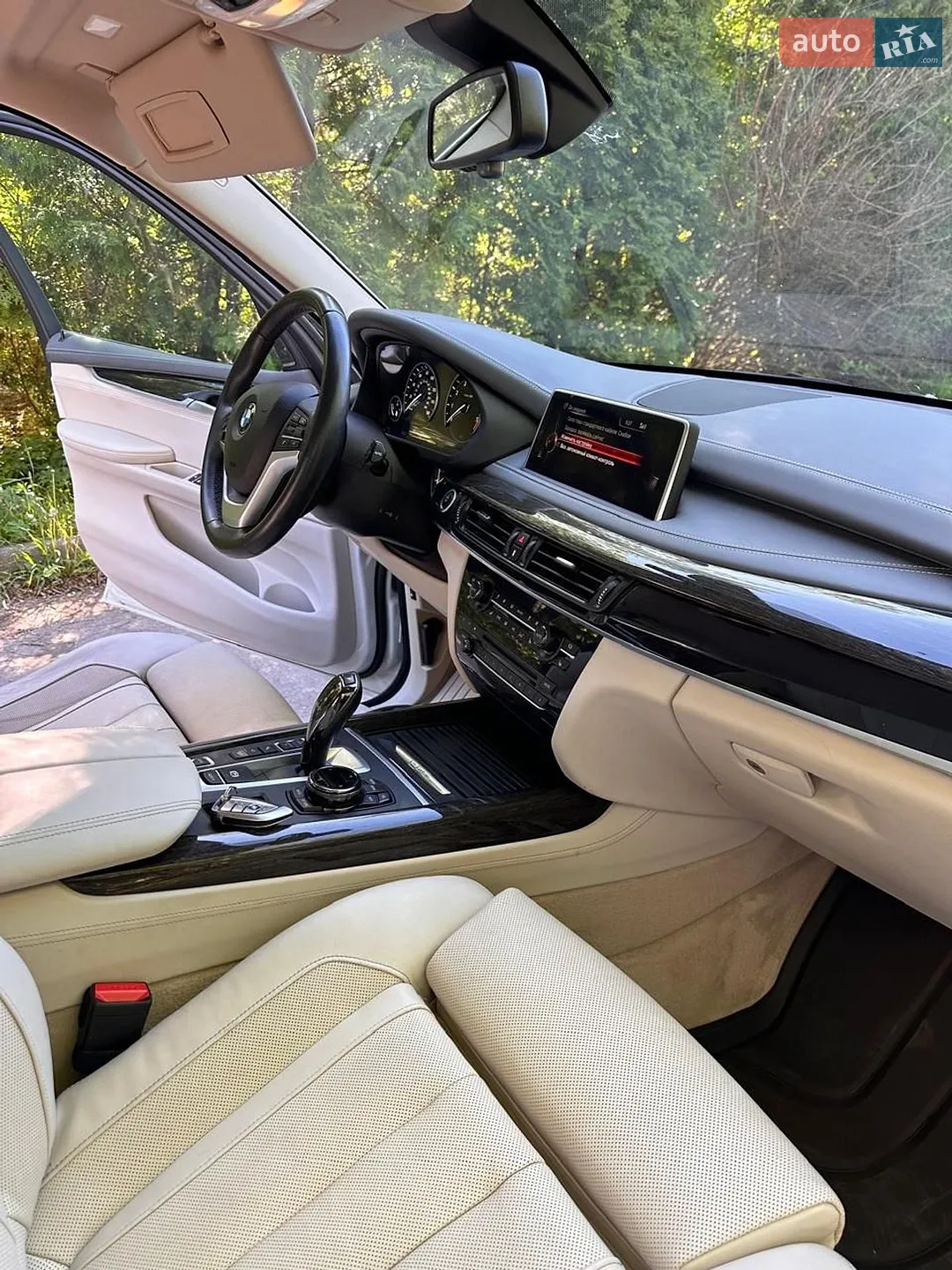 2016 BMW X5 - мініатюра 29