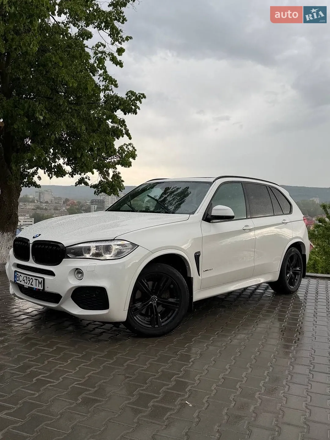2015 BMW X5 - мініатюра 3