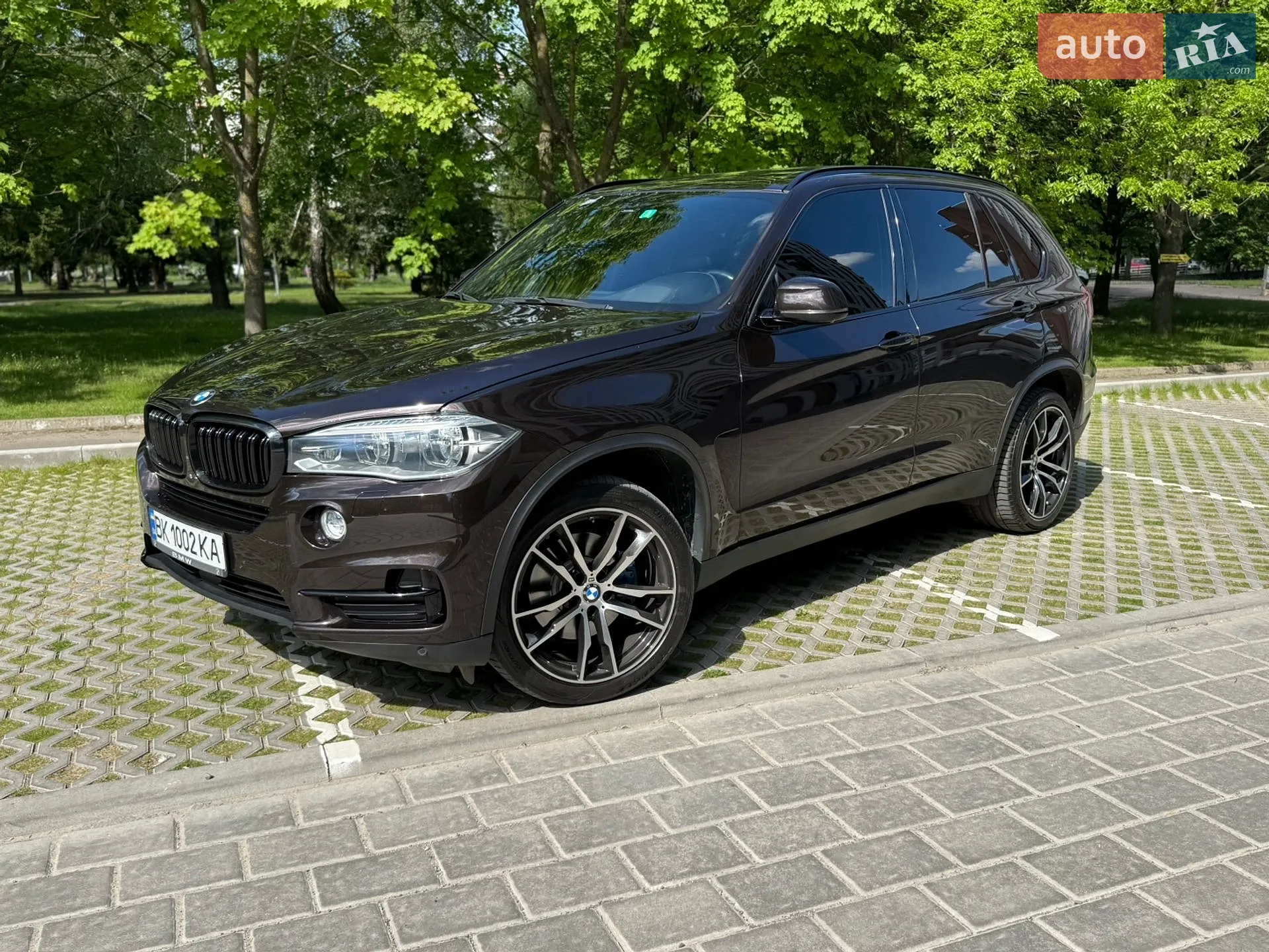 2015 BMW X5 - мініатюра 8