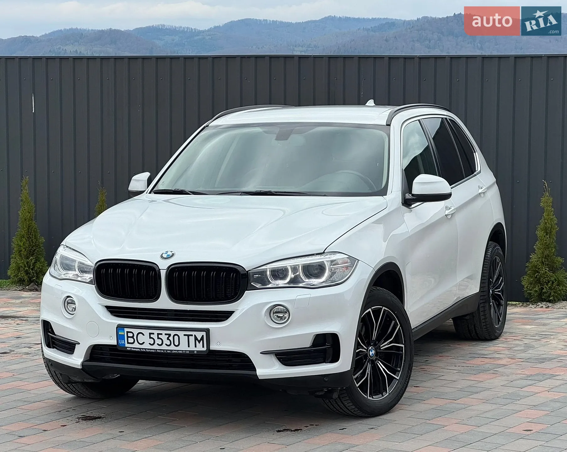 2015 BMW X5 - мініатюра 2
