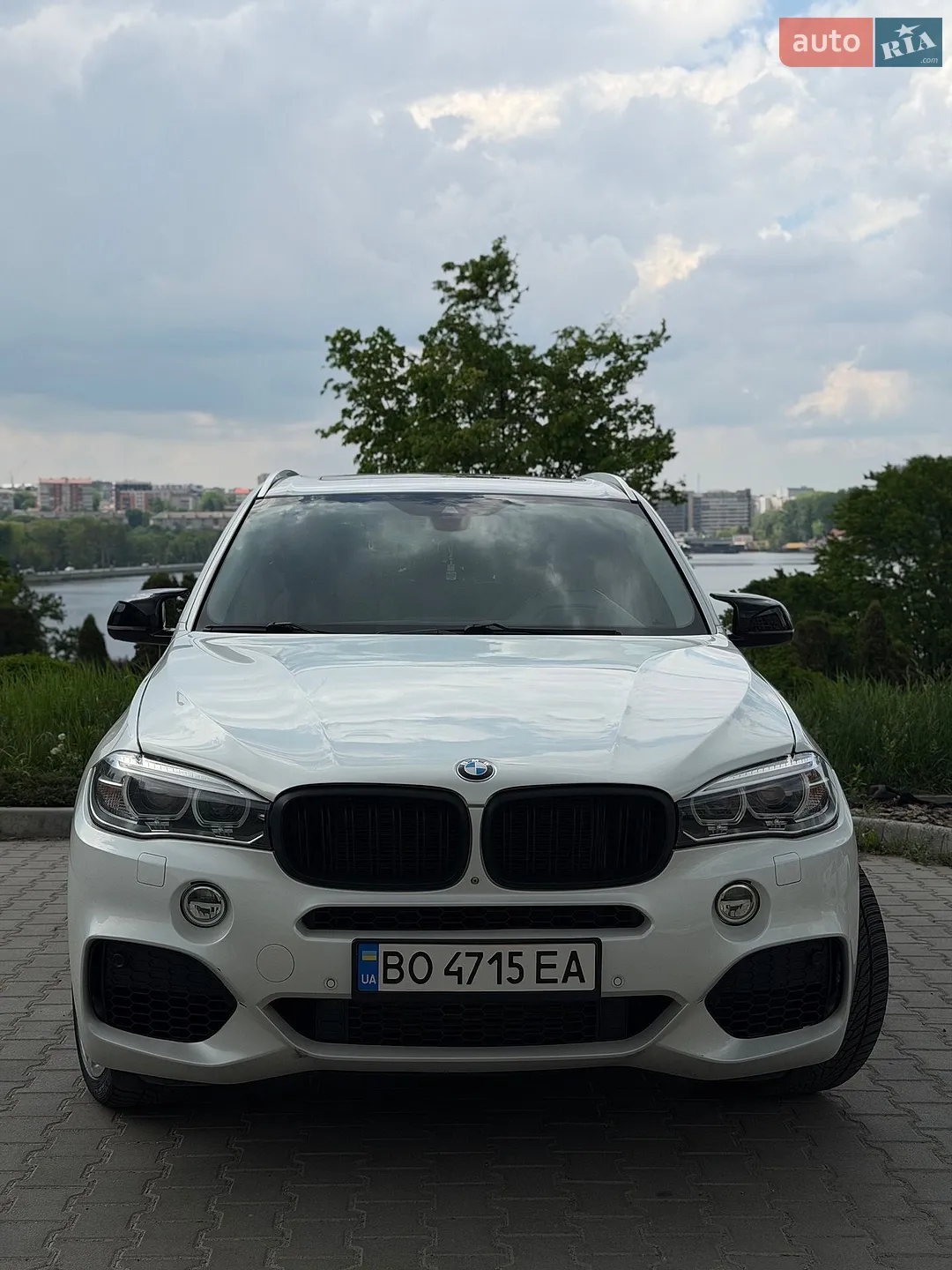 2014 BMW X5 - мініатюра 3