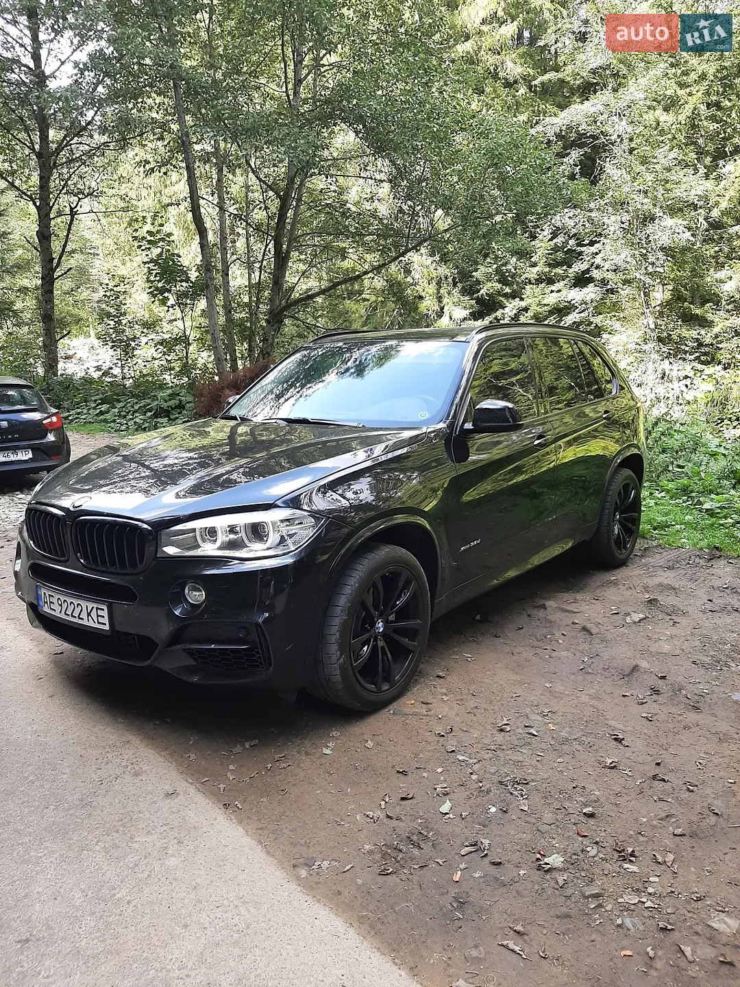 2015 BMW X5 - мініатюра 5