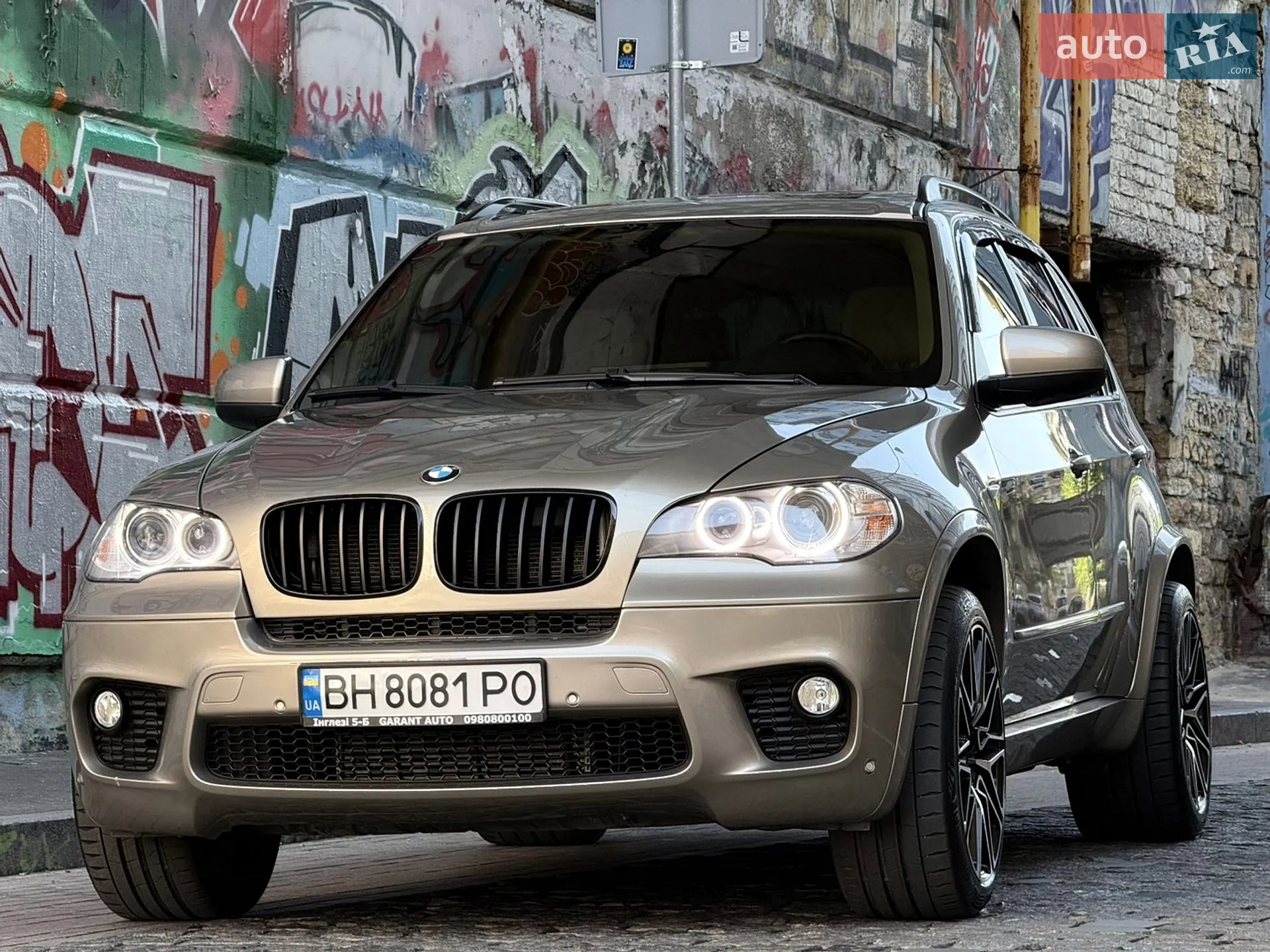 2010 BMW X5 - мініатюра 4