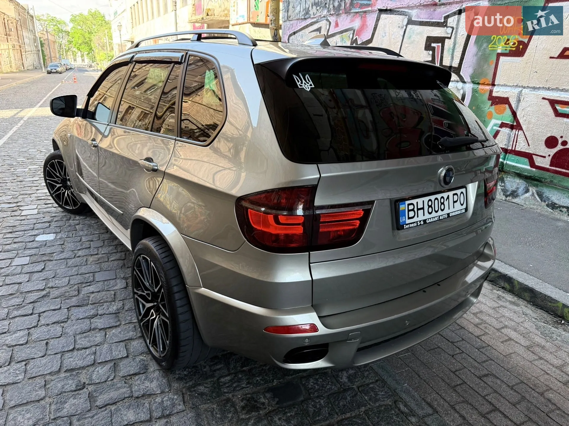 2010 BMW X5 - мініатюра 22
