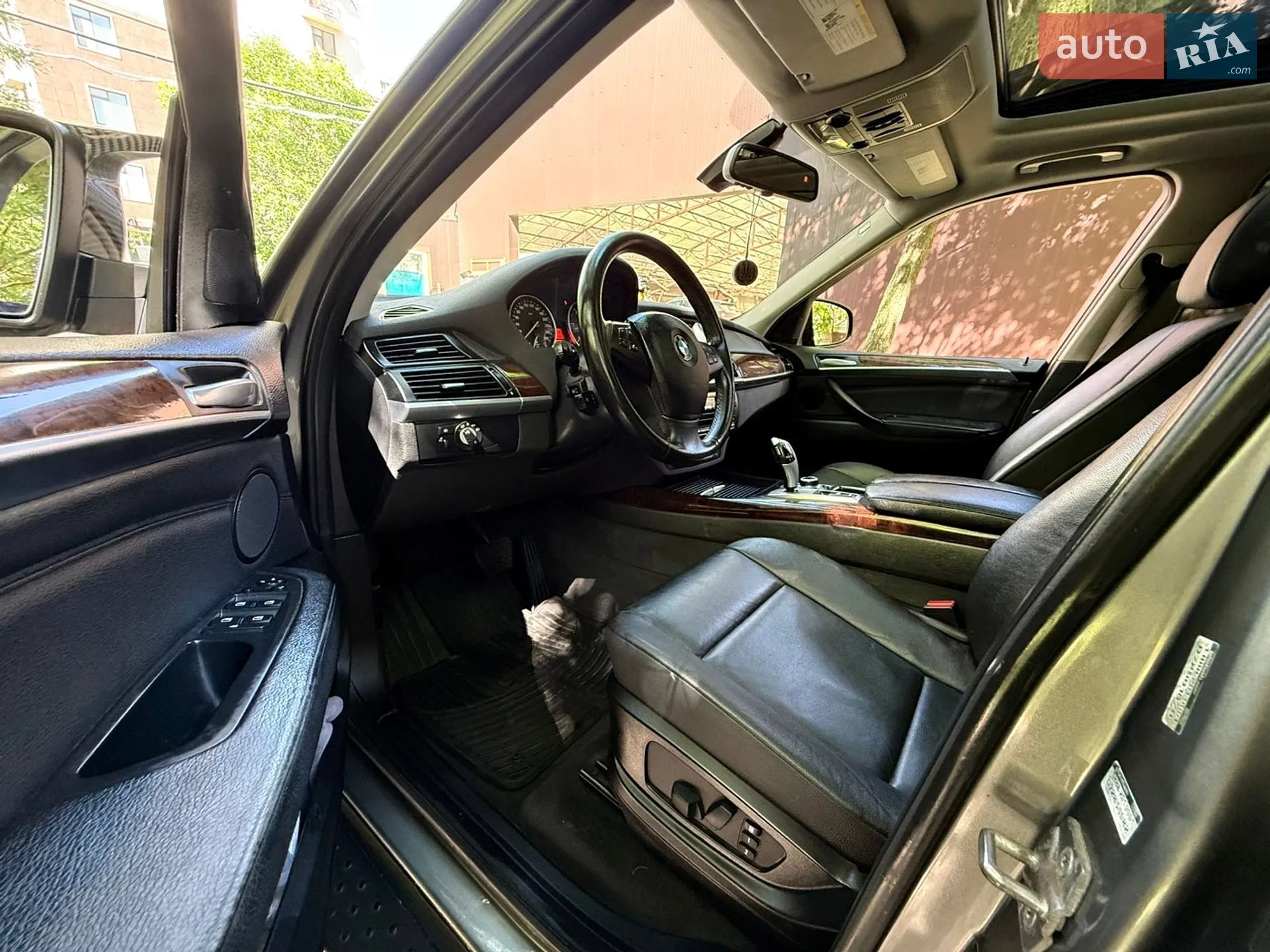 2010 BMW X5 - мініатюра 12
