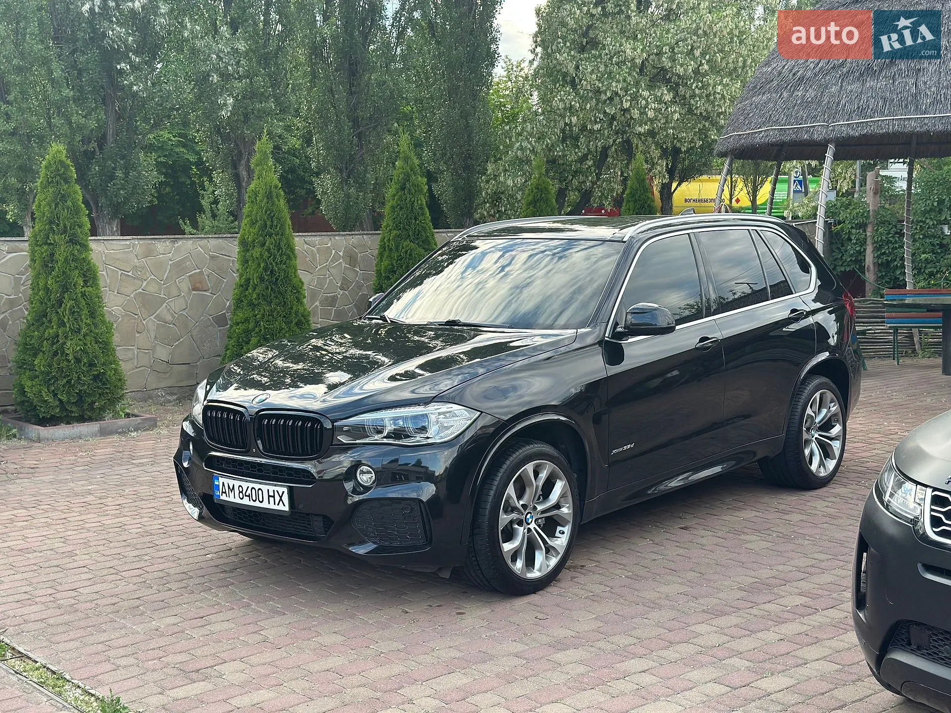 2014 BMW X5 - мініатюра 4