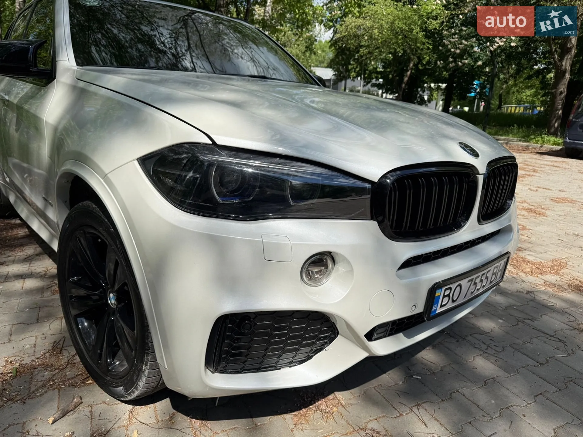2013 BMW X5 - мініатюра 2