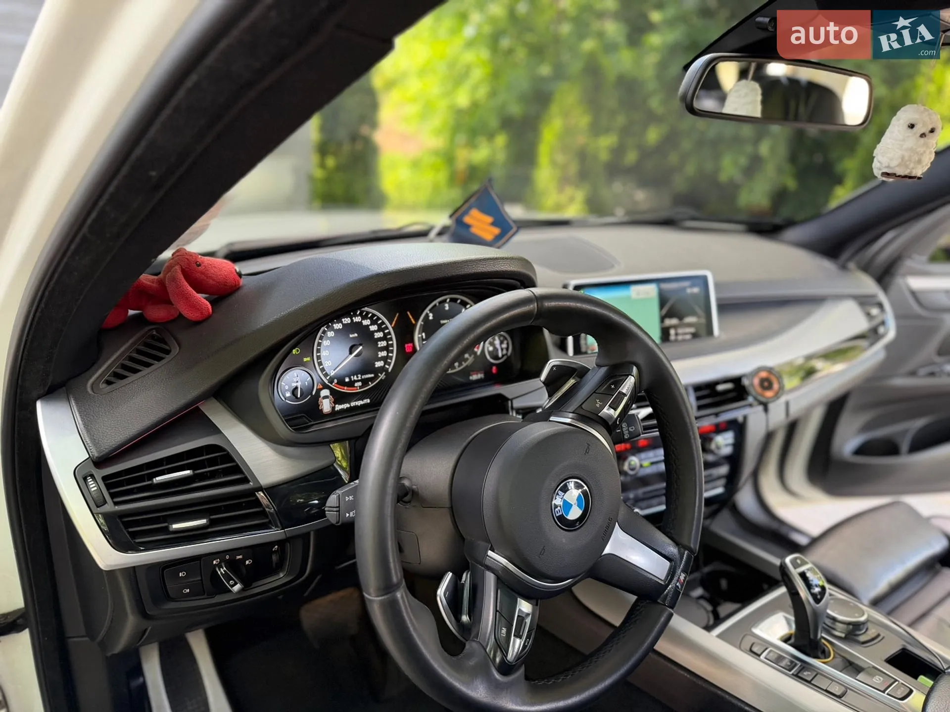 2014 BMW X5 - мініатюра 38